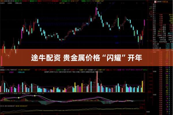 途牛配资 贵金属价格“闪耀”开年