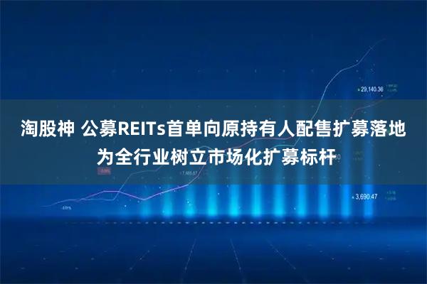 淘股神 公募REITs首单向原持有人配售扩募落地 为全行业树立市场化扩募标杆