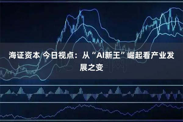海证资本 今日视点：从“AI新王”崛起看产业发展之变