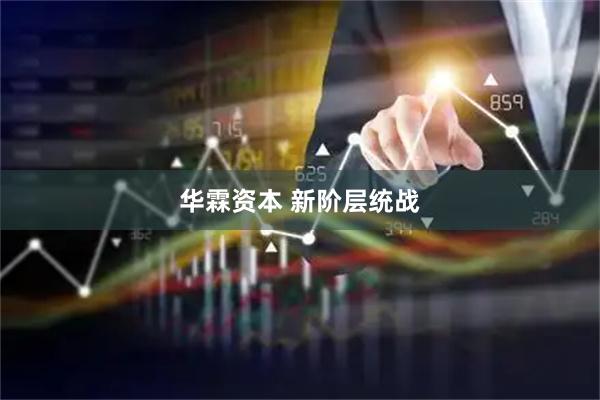 华霖资本 新阶层统战